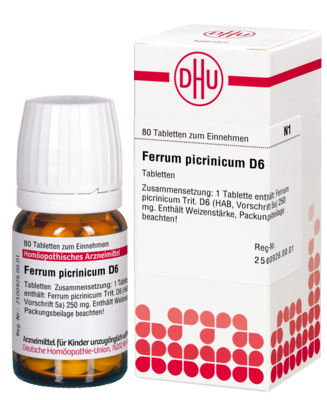 FERRUM PICRINICUM D 6 Tabletten