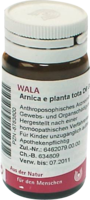 ARNICA E Planta tota D 6 Globuli