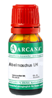 ABELMOSCHUS LM 23 Dilution