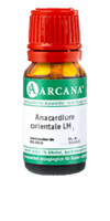 ANACARDIUM ORIENTALE LM 17 Dilution