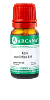 APIS MELLIFICA LM 9 Dilution