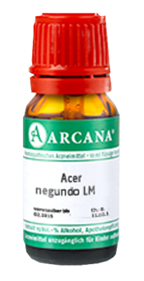 ACER negundo LM 15 Dilution