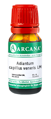 ADIANTUM CAPILLUS veneris LM 21 Dilution