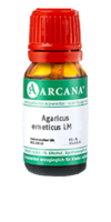 AGARICUS EMETICUS LM 36 Dilution