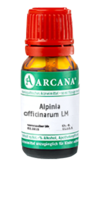 ALPINIA OFFICINARUM LM 60 Dilution