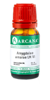 AMYGDALAE AMARAE LM 6 Dilution