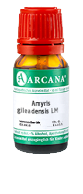 AMYRIS gileadensis LM 3 Dilution