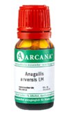 ANAGALLIS ARVENSIS LM 4 Dilution